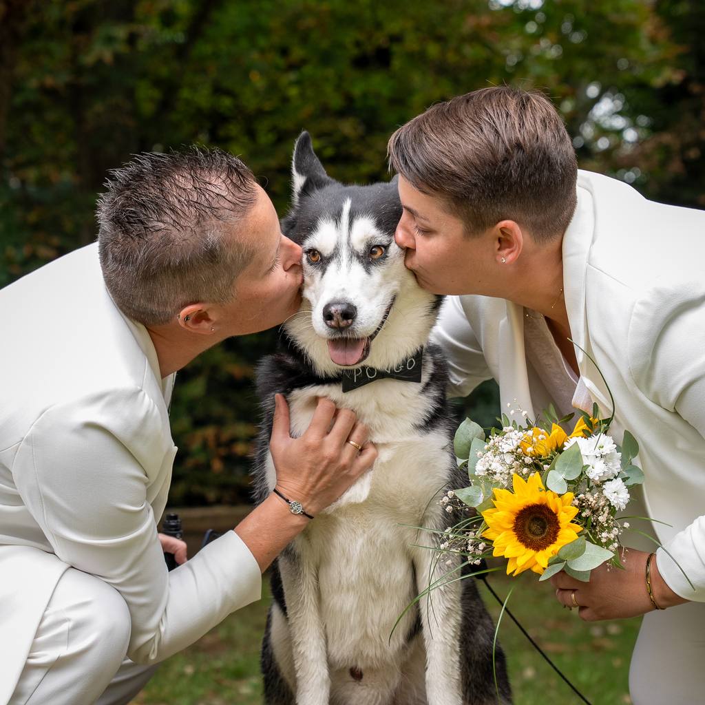 Les mariées embrassent leur husky, bouquet de tournesols à la main