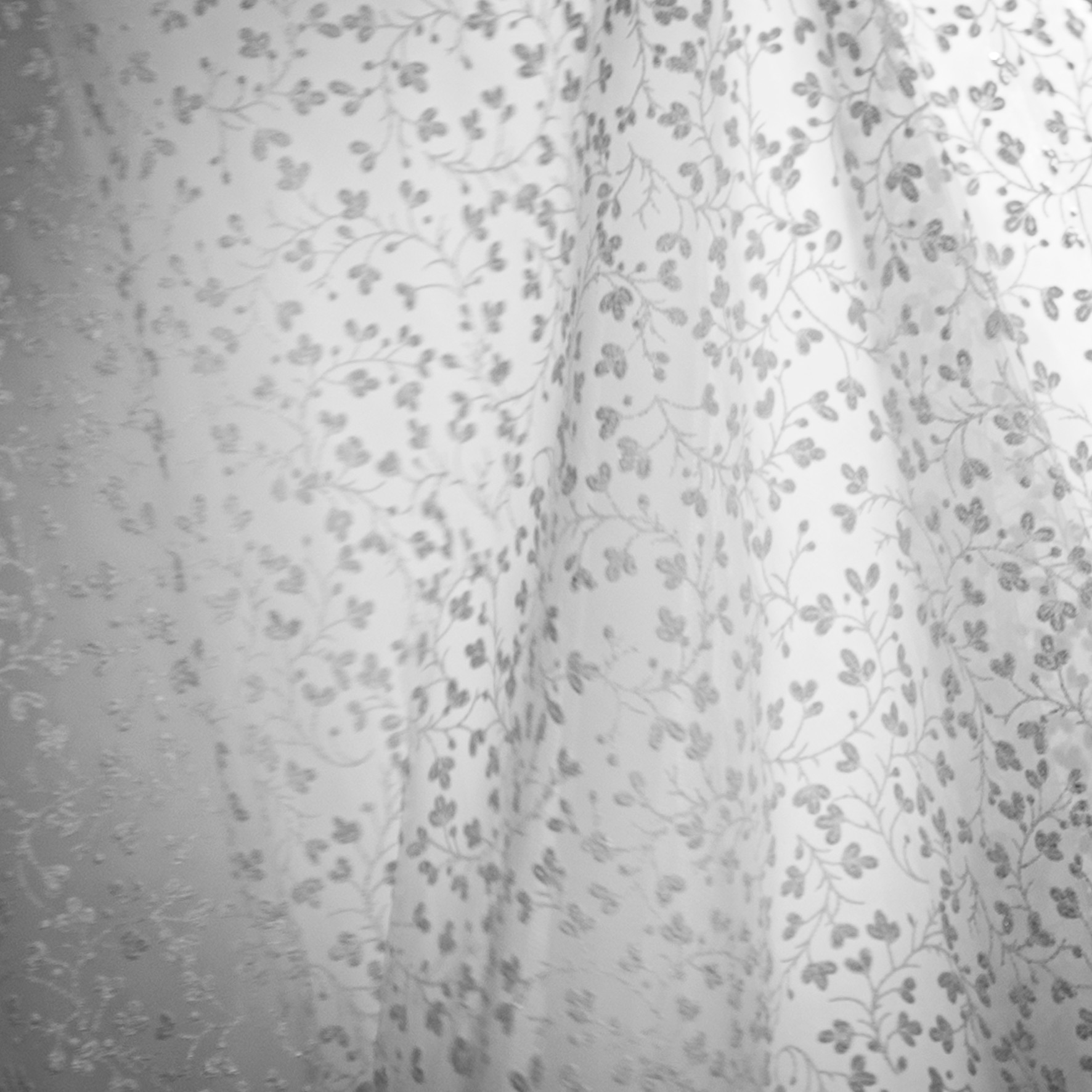 Détail de la dentelle d’une robe de mariée, noir et blanc