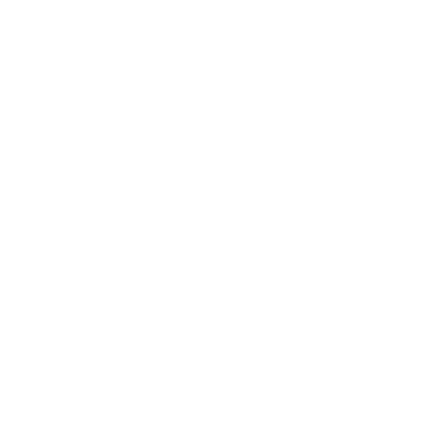 Ashley Mercereau photographe